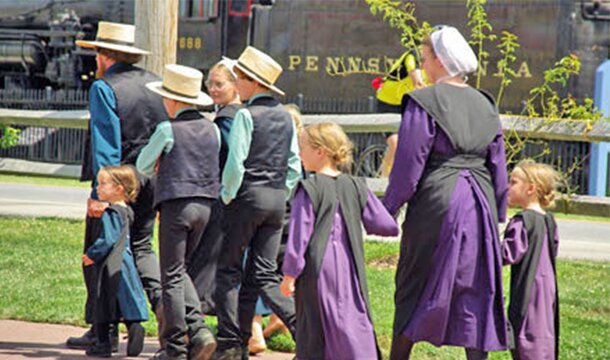 Amish Wedding