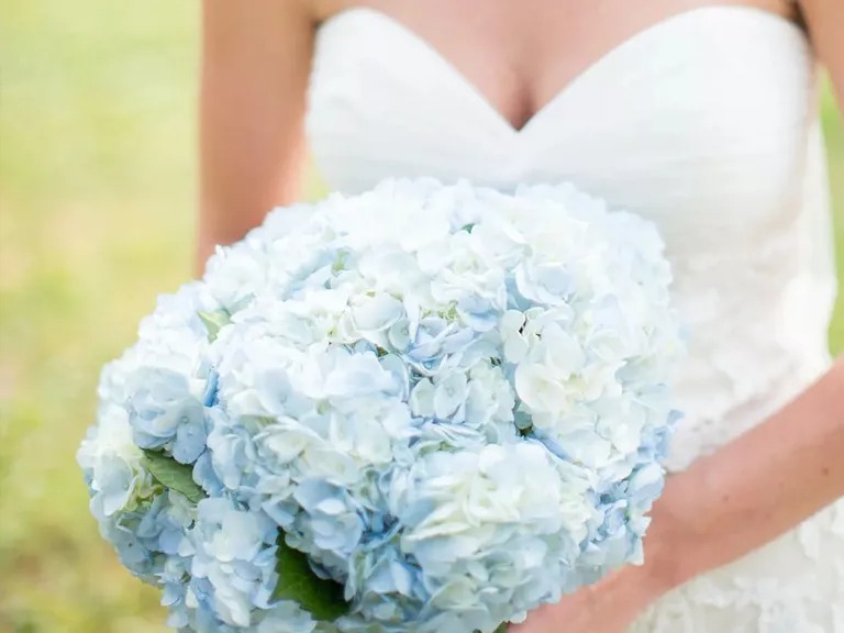 Wedding bouquet single bloom